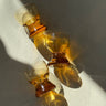 Cordial glasses (3 pcs) - NEROLI