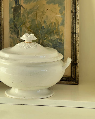 Davenport tureen - NEROLI