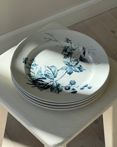 Dinner plates (4 pcs) - NEROLI