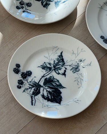Dinner plates (4 pcs) - NEROLI