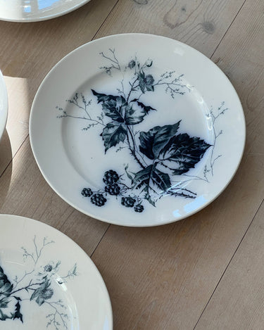 Dinner plates (4 pcs) - NEROLI