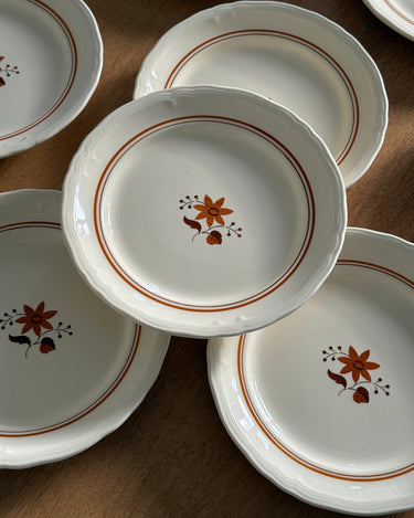 Dinner plates (9 pcs) - NEROLI