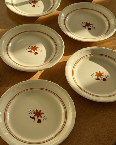 Dinner plates (9 pcs) - NEROLI