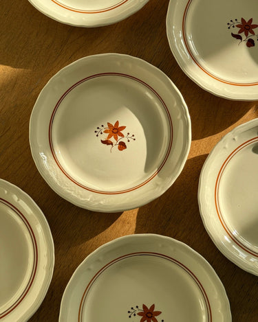 Dinner plates (9 pcs) - NEROLI