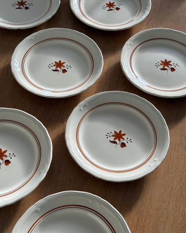 Dinner plates (9 pcs) - NEROLI
