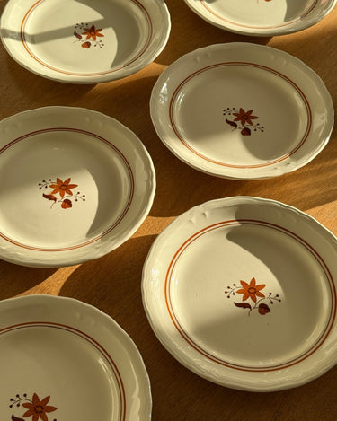 Dinner plates (9 pcs) - NEROLI