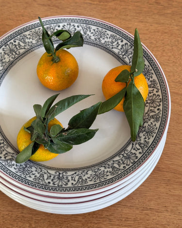 English dinner bowls (12 pcs) - NEROLI