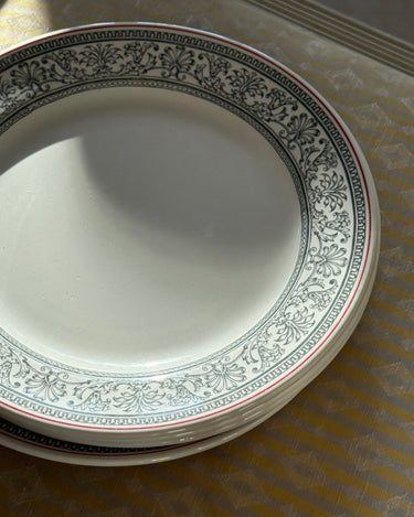 English dinner bowls (12 pcs) - NEROLI