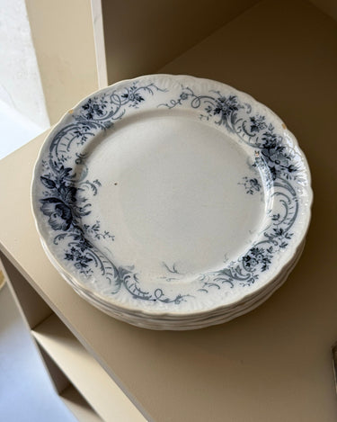Fausta dinner plates (11 pcs) - NEROLI