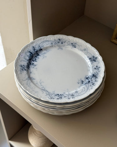 Fausta dinner plates (11 pcs) - NEROLI