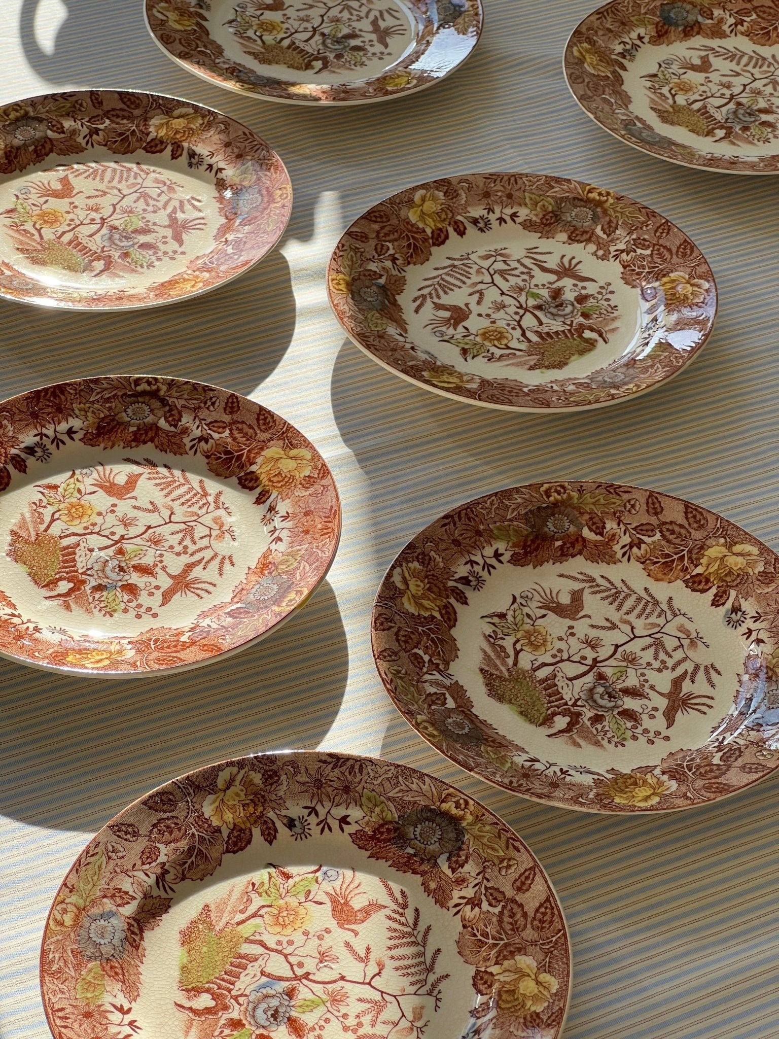 Floral cake plates (10 pcs) - NEROLI