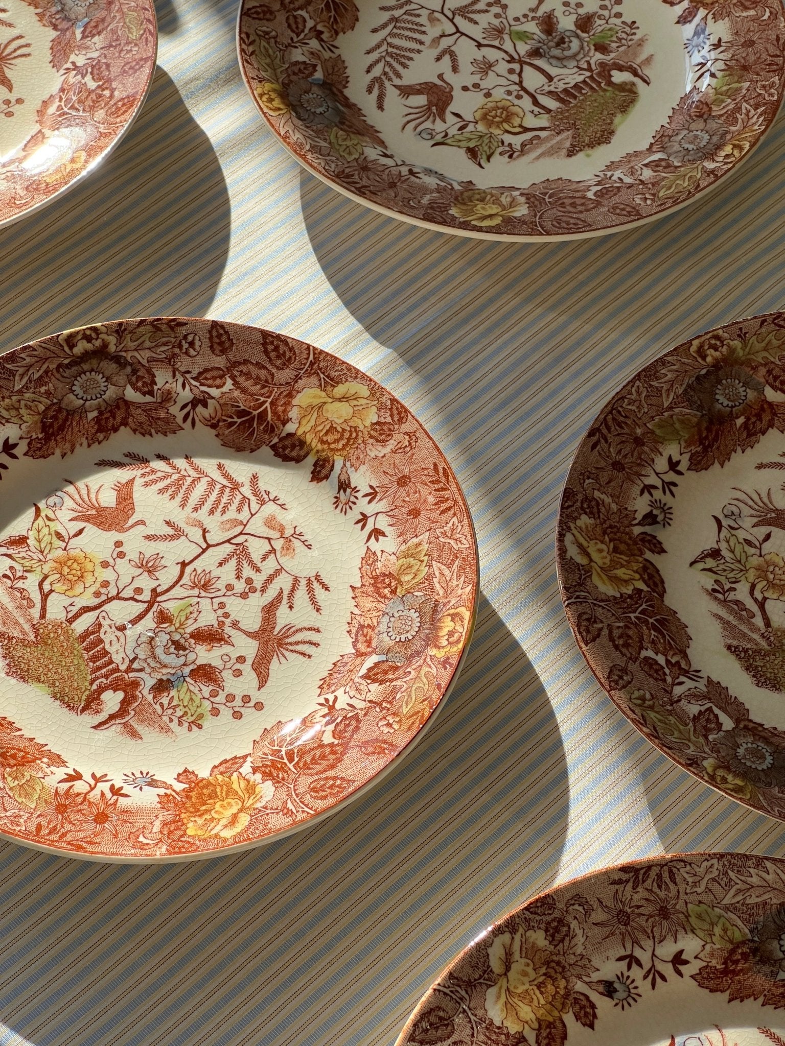 Floral cake plates (10 pcs) - NEROLI