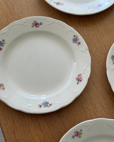 Floral dinner plates (8 pcs) - NEROLI