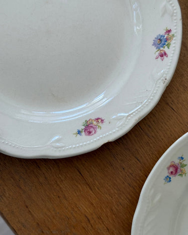 Floral dinner plates (8 pcs) - NEROLI