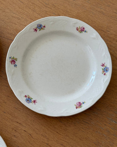 Floral dinner plates (8 pcs) - NEROLI
