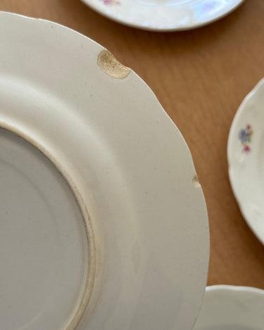 Floral dinner plates (8 pcs) - NEROLI