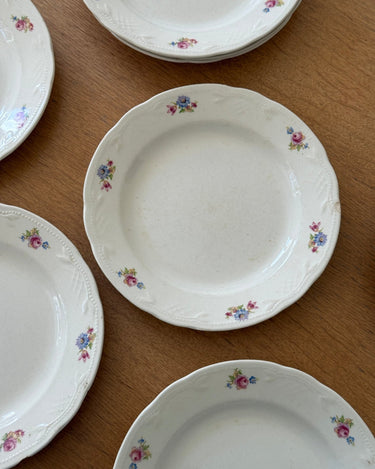 Floral dinner plates (8 pcs) - NEROLI