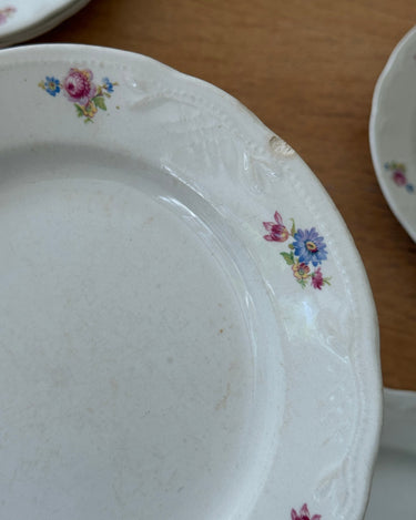 Floral dinner plates (8 pcs) - NEROLI