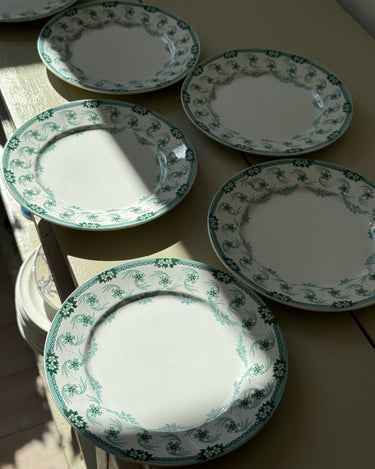 Floral lunch plates (6 pcs) - NEROLI