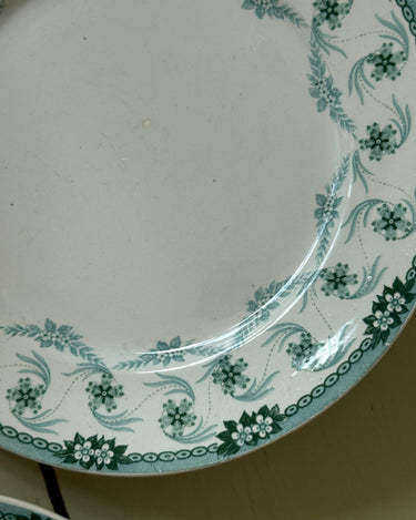 Floral lunch plates (6 pcs) - NEROLI