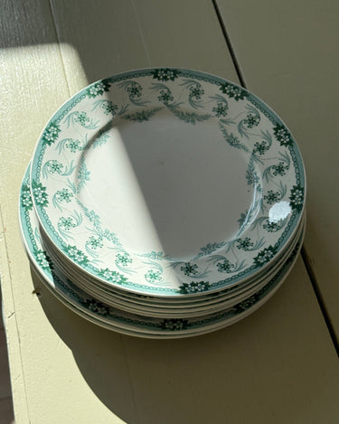 Floral lunch plates (6 pcs) - NEROLI