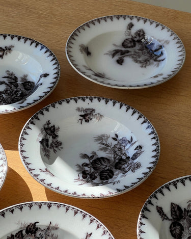 Flore pasta plates (6 pcs) - NEROLI