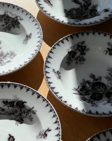 Flore pasta plates (6 pcs) - NEROLI