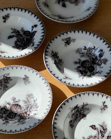 Flore pasta plates (6 pcs) - NEROLI