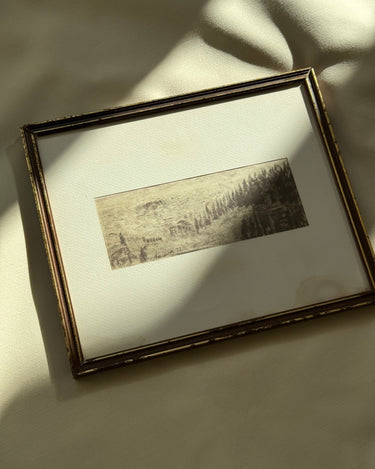 Framed drawing - NEROLI