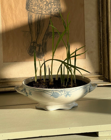 French tureen - NEROLI