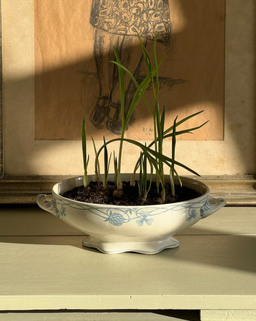 French tureen - NEROLI