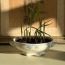 French tureen - NEROLI