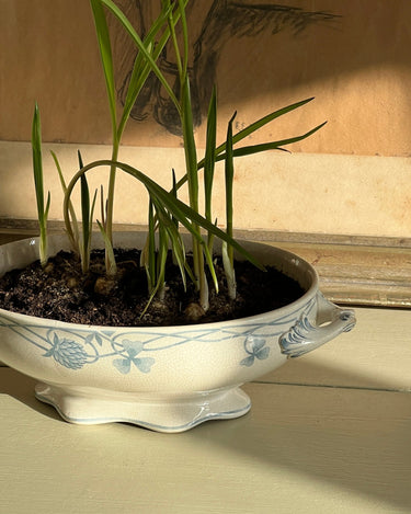 French tureen - NEROLI