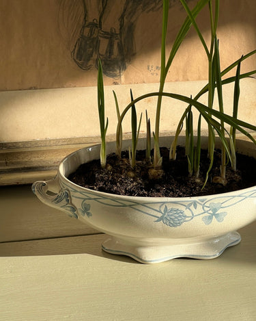 French tureen - NEROLI