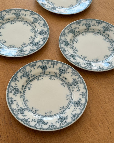 Furnivals dinner plates (10 pcs) - NEROLI