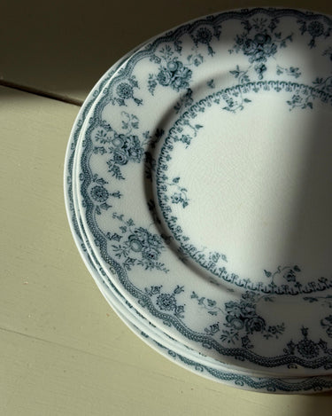 Furnivals dinner plates (10 pcs) - NEROLI