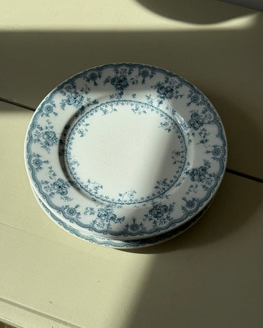 Furnivals dinner plates (10 pcs) - NEROLI
