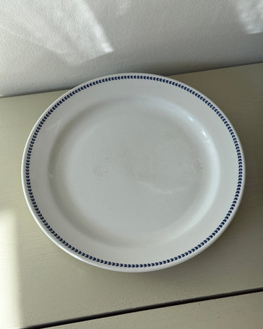Ginori dinner plates (6 pcs) - NEROLI