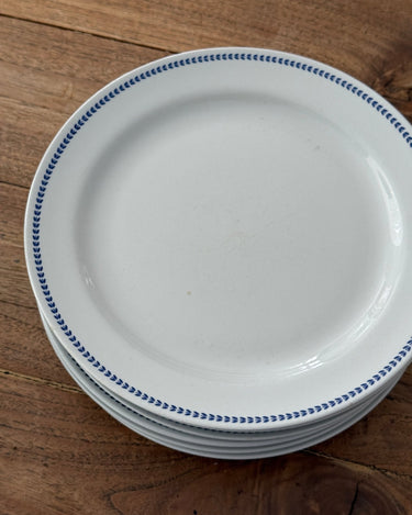 Ginori dinner plates (6 pcs) - NEROLI