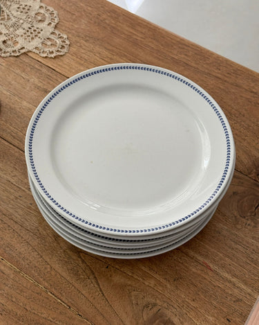 Ginori dinner plates (6 pcs) - NEROLI