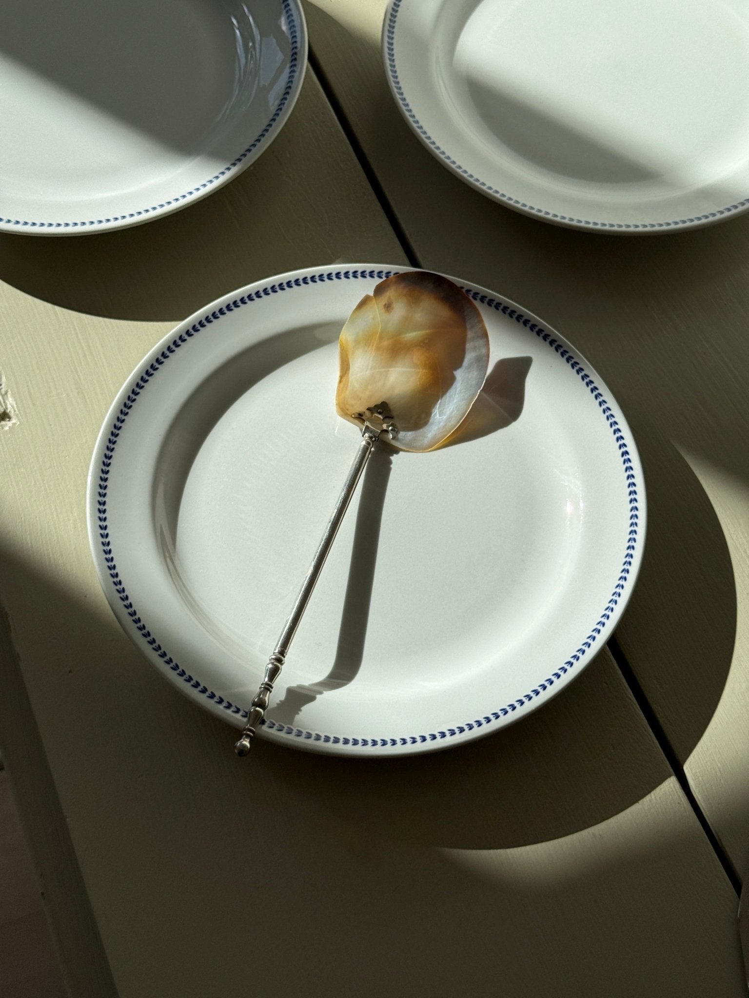 Ginori dinner plates (6 pcs) - NEROLI