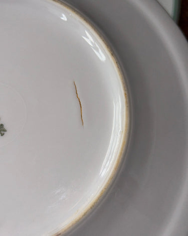 Ginori lunch plates (6 pcs) - NEROLI