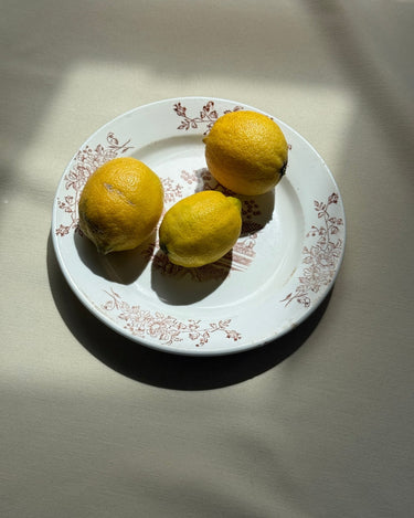 Ginori wall plate - NEROLI