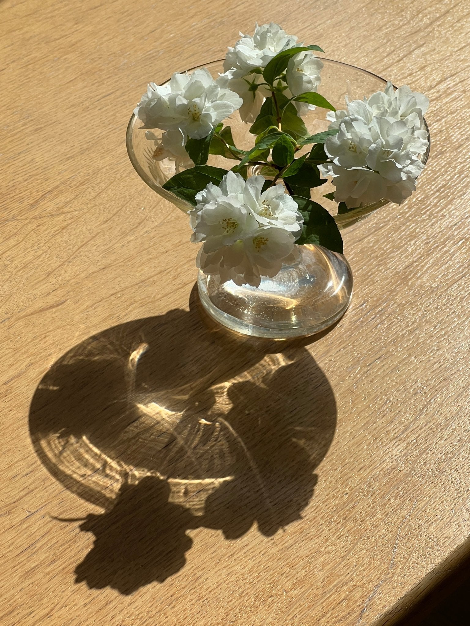 Glass dish - NEROLI