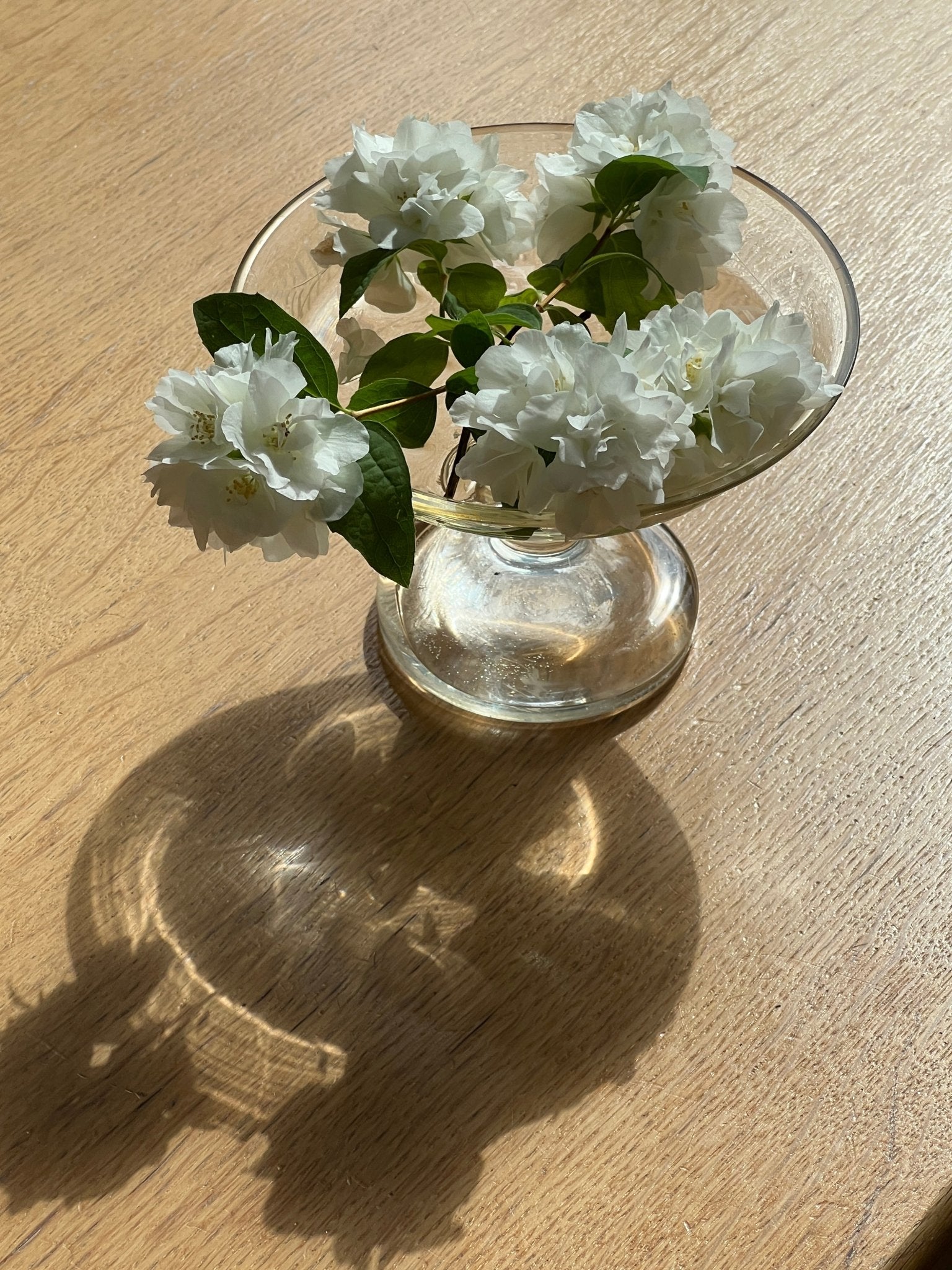 Glass dish - NEROLI