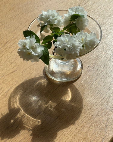 Glass dish - NEROLI