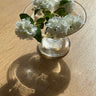 Glass dish - NEROLI