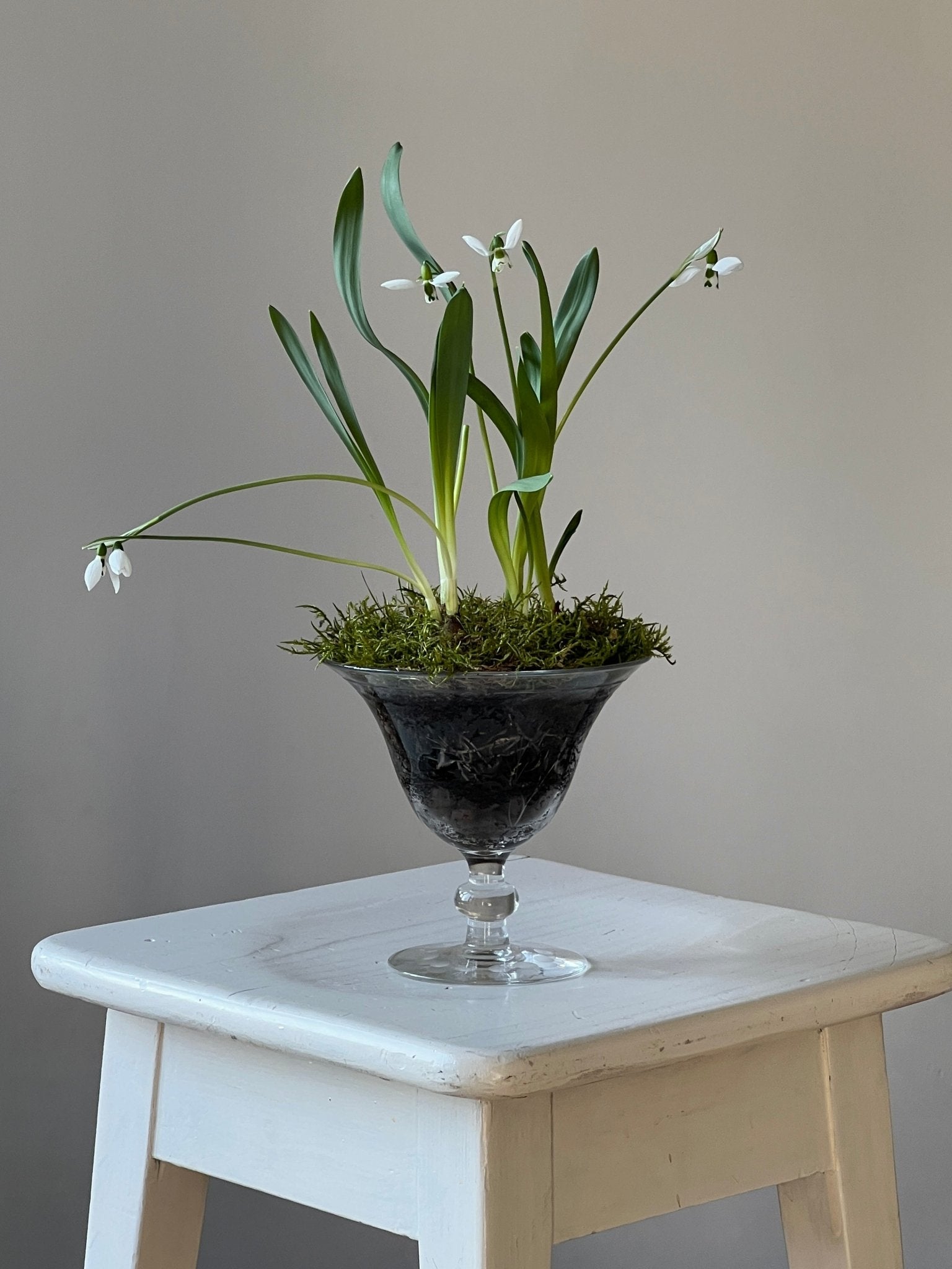 Glass vase - NEROLI