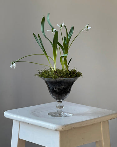 Glass vase - NEROLI