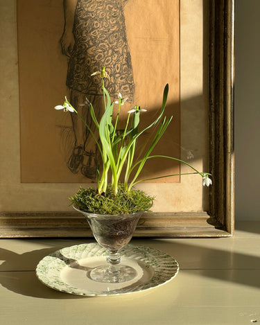 Glass vase - NEROLI